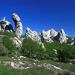 Апартаменты Kate *