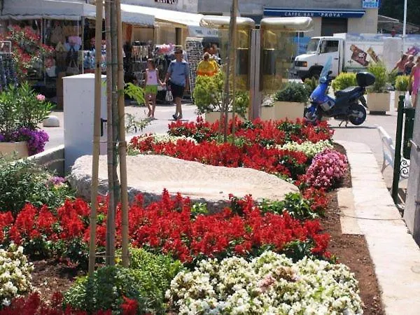 公寓 Kate 穆泰尔岛