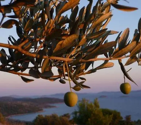 Διαμέρισμα Kate Μούρτερ