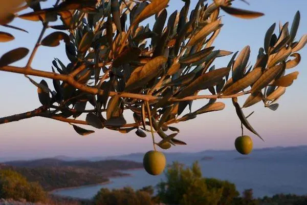 Apartament Kate Murter